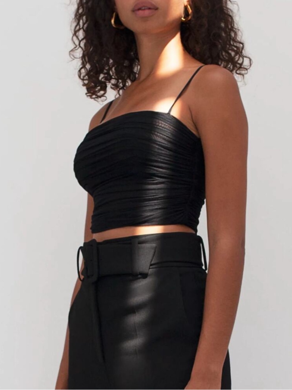 Aritzia Ten by Babaton Sheer Cropped Corset Top